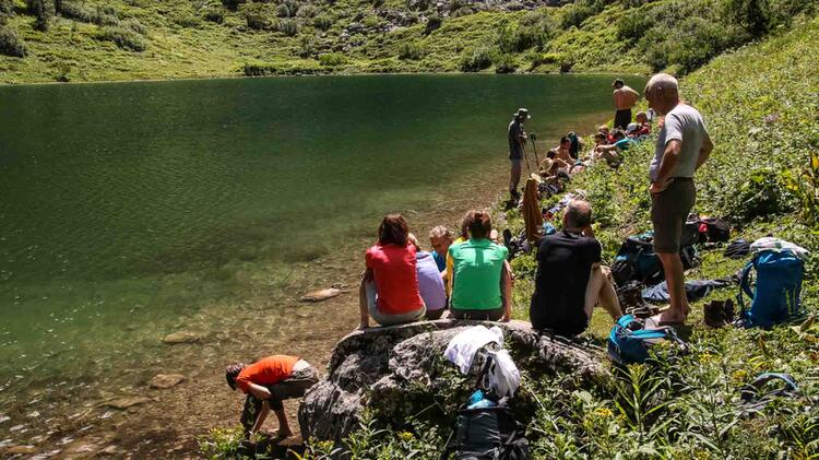 Abkuehlung Am Gruensee Auf Dem Weg Zum Kaerlingerhaus Am Funtensee