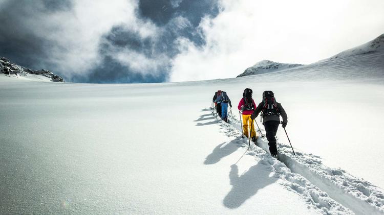 Anfa Nger Skitourenkurs In Der Silvretta