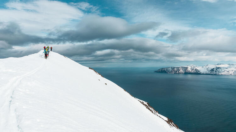 Skitouren Vom Meer In Island