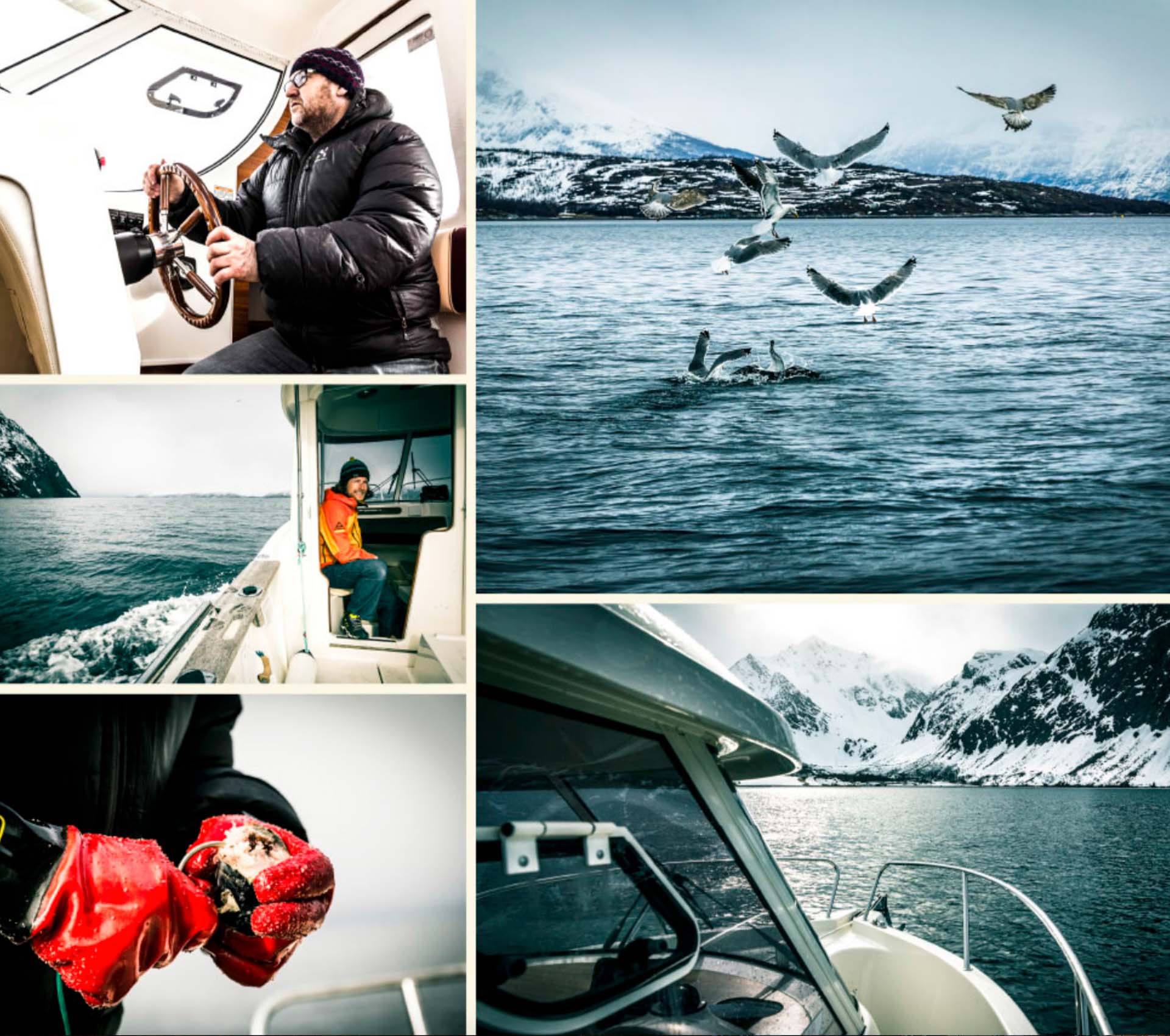 wandern-und-angeln-in-norwegen